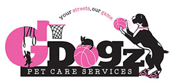Original Logo Design